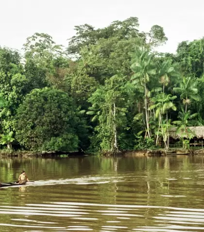 Una casa amaz�nica entre la vegetaci�n muestra la selva m�s aut�ntica y viva.