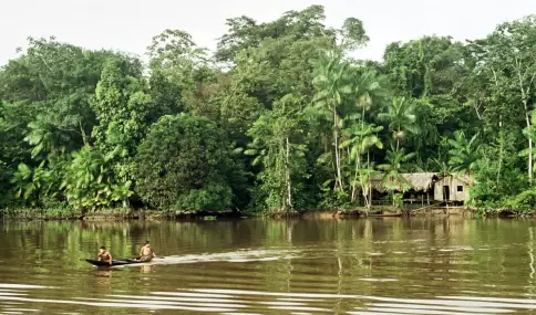 Una casa amaz�nica entre la vegetaci�n muestra la selva m�s aut�ntica y viva.