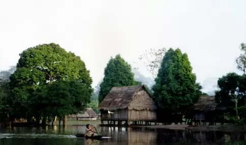 Mosquitos, humedad y selva: qu� esperar realmente en Iquitos.