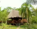 Ubicaci�n, gu�a y tiempo en selva importan m�s que el lujo.