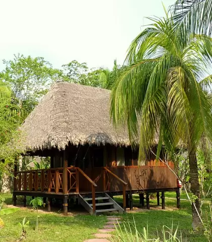 Ubicaci�n, gu�a y tiempo en selva importan m�s que el lujo.