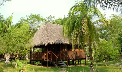 Ubicaci�n, gu�a y tiempo en selva importan m�s que el lujo.