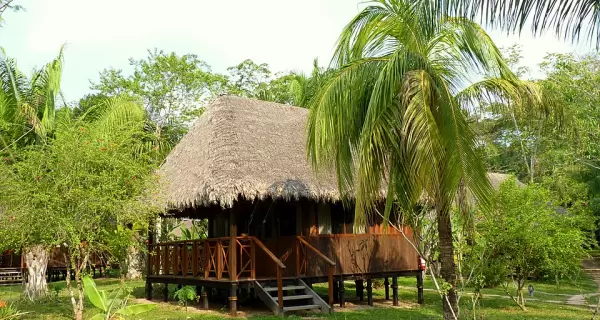 Ubicaci�n, gu�a y tiempo en selva importan m�s que el lujo.