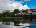 Junio favorece las excursiones fluviales y mejora las oportunidades de avistar fauna amaz�nica.