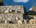 Machu Picchu en julio.