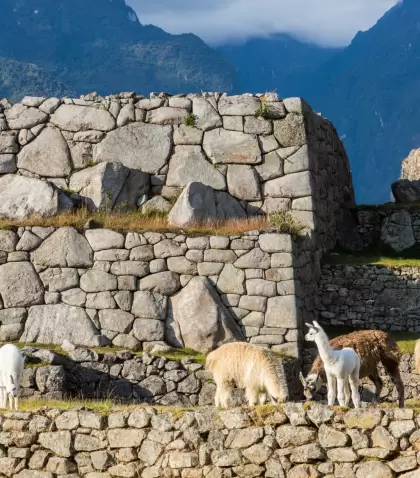 Machu Picchu en julio.