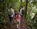 Familia con ni�os caminando por un sendero suave de selva peruana.