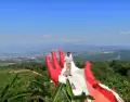 Selva Alta de Tarapoto.